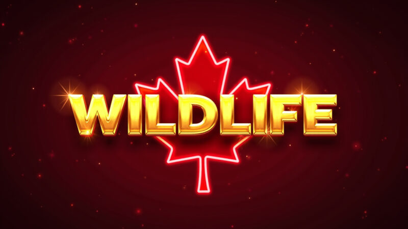 Wildlife Slot Machine Review